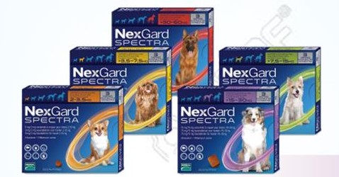 nexgard spectra mange